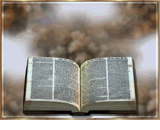 Bible